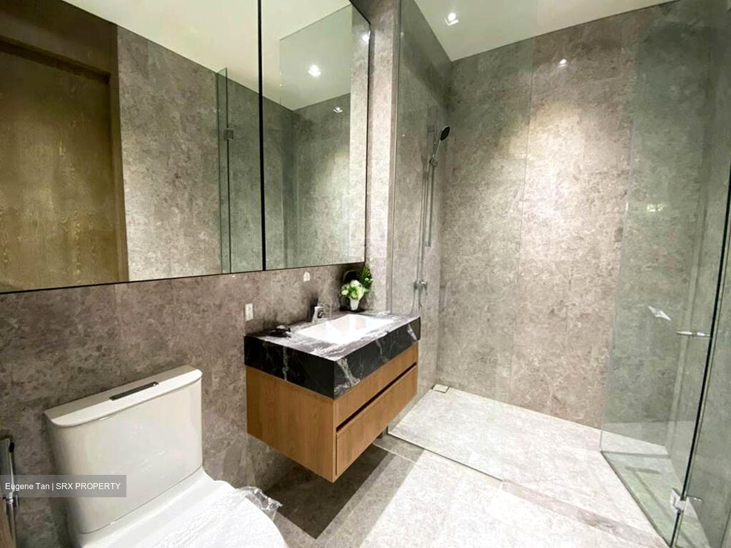 Dalvey Haus (D10), Condominium #510276481